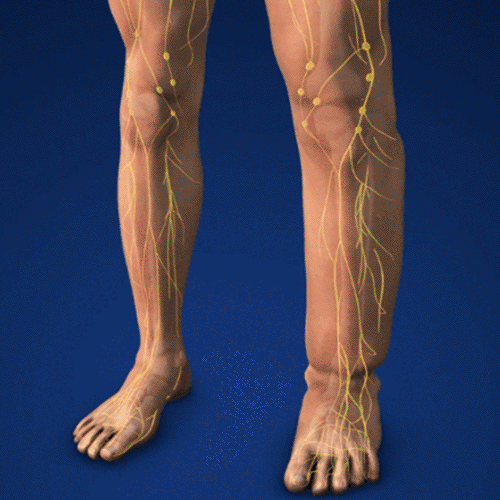 🔥💆Elektronikus limfavizeletű és cellulitisellenes masszírozó eszköz