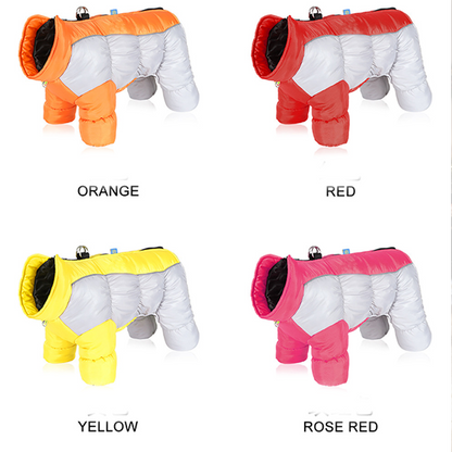 ❄️🐶 Fényvisszaverő, vízálló, szigetelt kabát kisméretű kutyák számára 🐕🐾