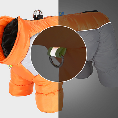 ❄️🐶 Fényvisszaverő, vízálló, szigetelt kabát kisméretű kutyák számára 🐕🐾